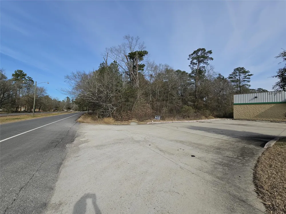 Roman Forest Blvd New Caney, TX 77357