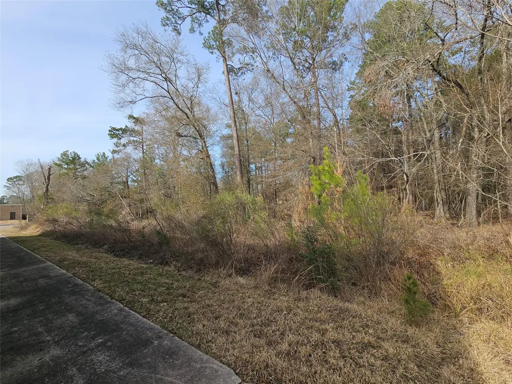 Roman Forest Blvd New Caney, TX 77357