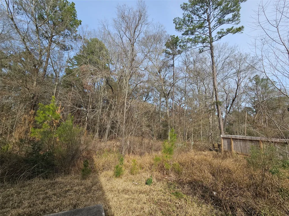 Roman Forest Blvd New Caney, TX 77357
