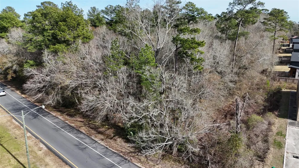 Roman Forest Blvd New Caney, TX 77357