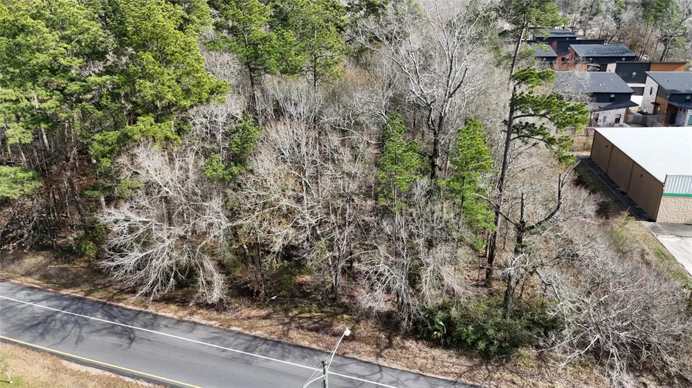 Roman Forest Blvd New Caney, TX 77357