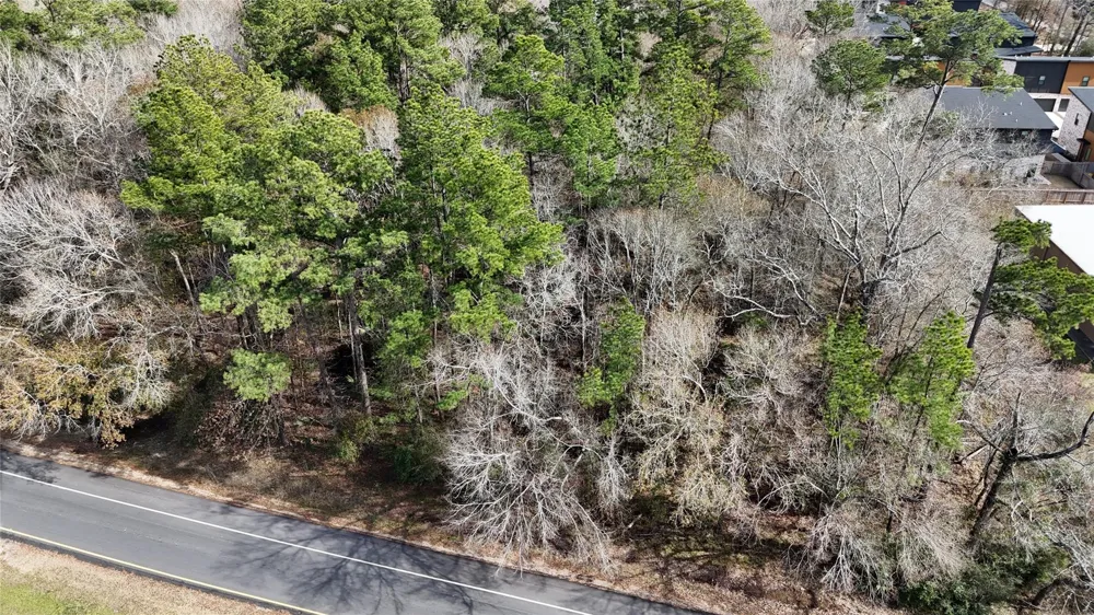 Roman Forest Blvd New Caney, TX 77357