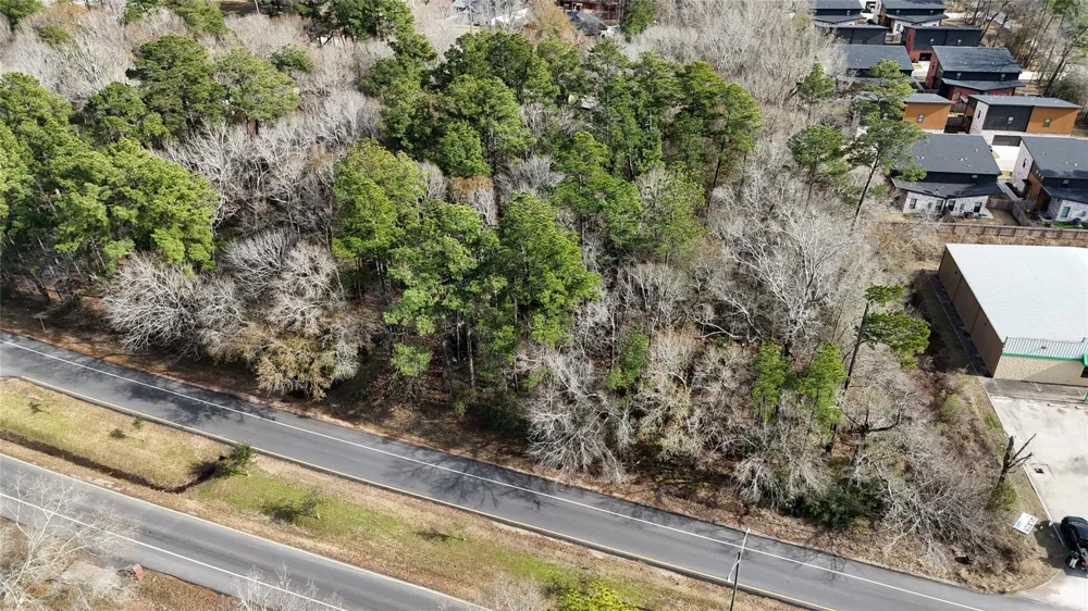 Roman Forest Blvd New Caney, TX 77357