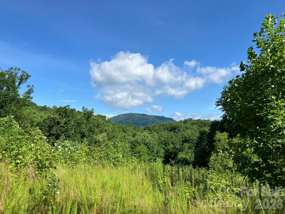 0 Grey Rock Parkway #250 Lake Lure, NC 28746