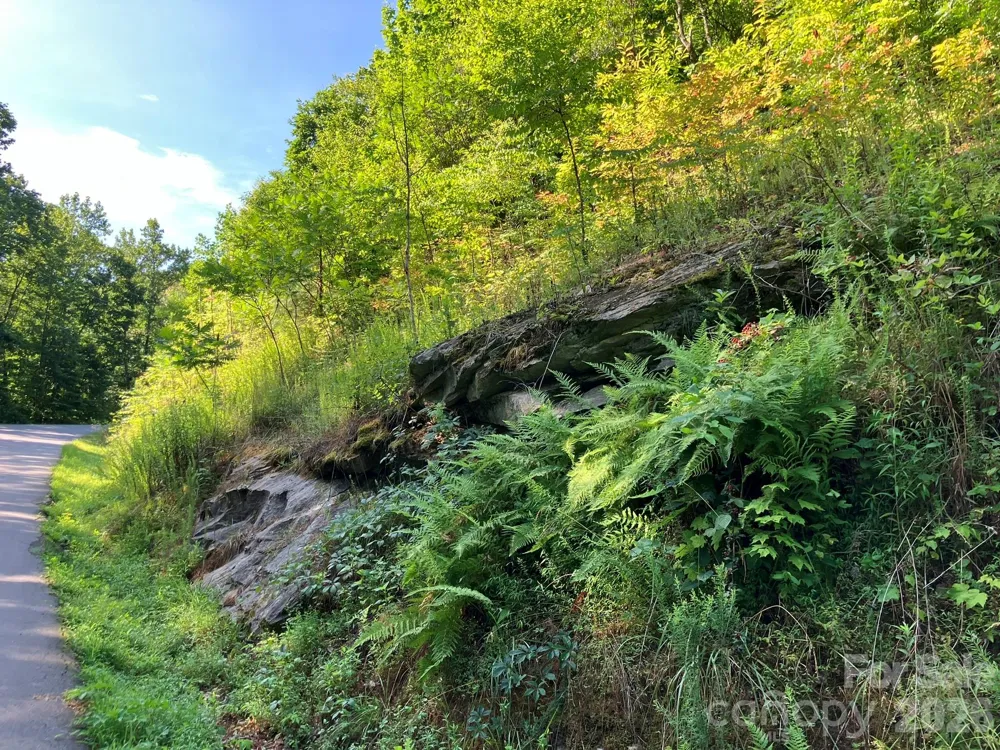 0 Grey Rock Parkway #250 Lake Lure, NC 28746