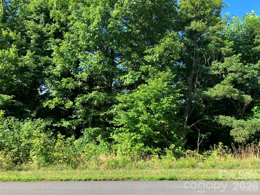 0 Grey Rock Parkway #250 Lake Lure, NC 28746