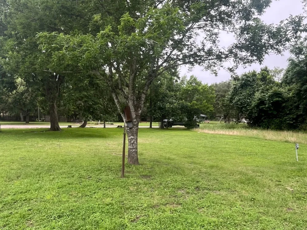 1st Avenue Columbus, TX 78934