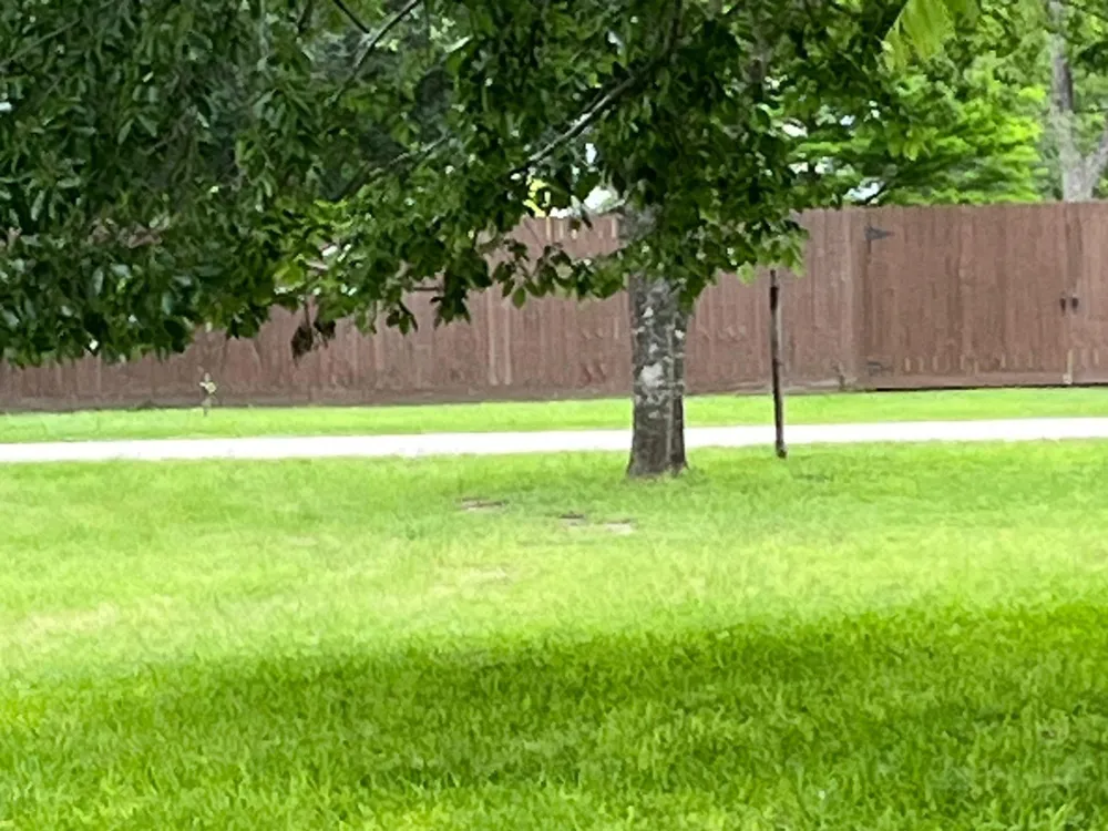 1st Avenue Columbus, TX 78934