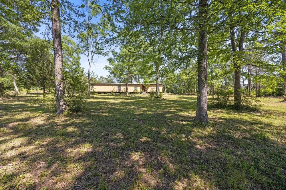 4804 Crockett Martin Road Conroe, TX 77306