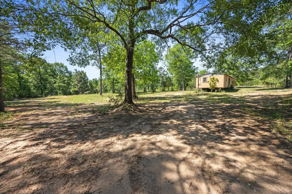 4804 Crockett Martin Road Conroe, TX 77306