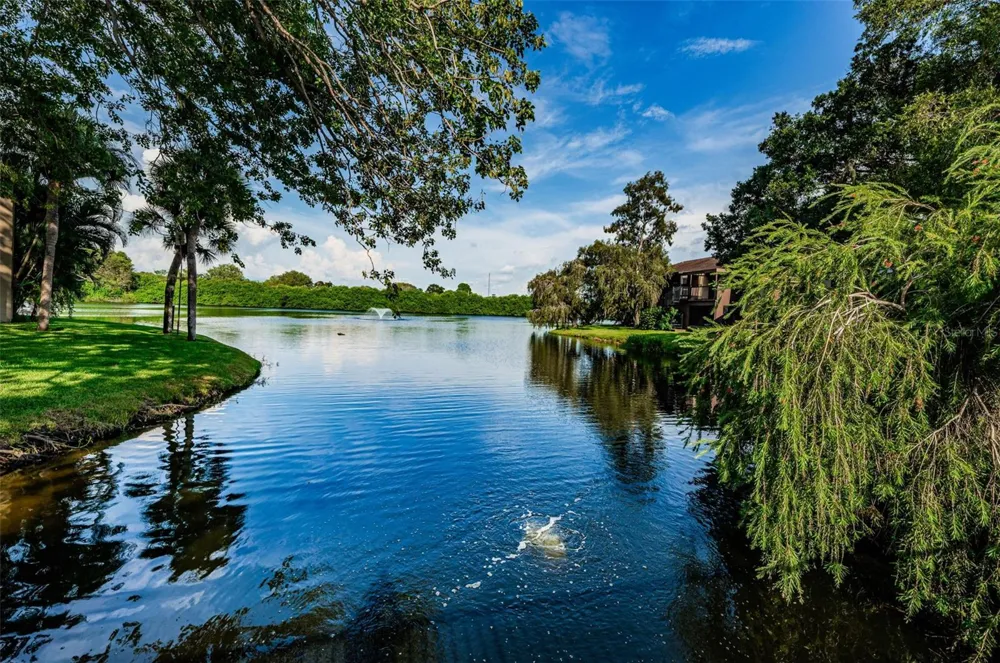 781 VILLAGE LAKE TERRACE #101A St Petersburg, FL 33716