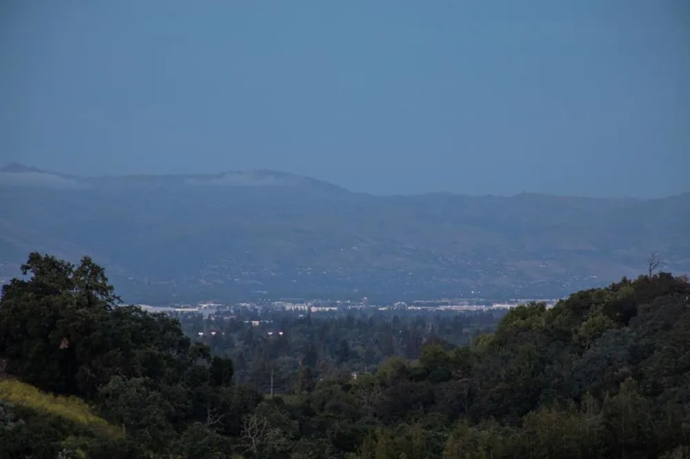 28008 Laura Court Los Altos Hills, CA 94022