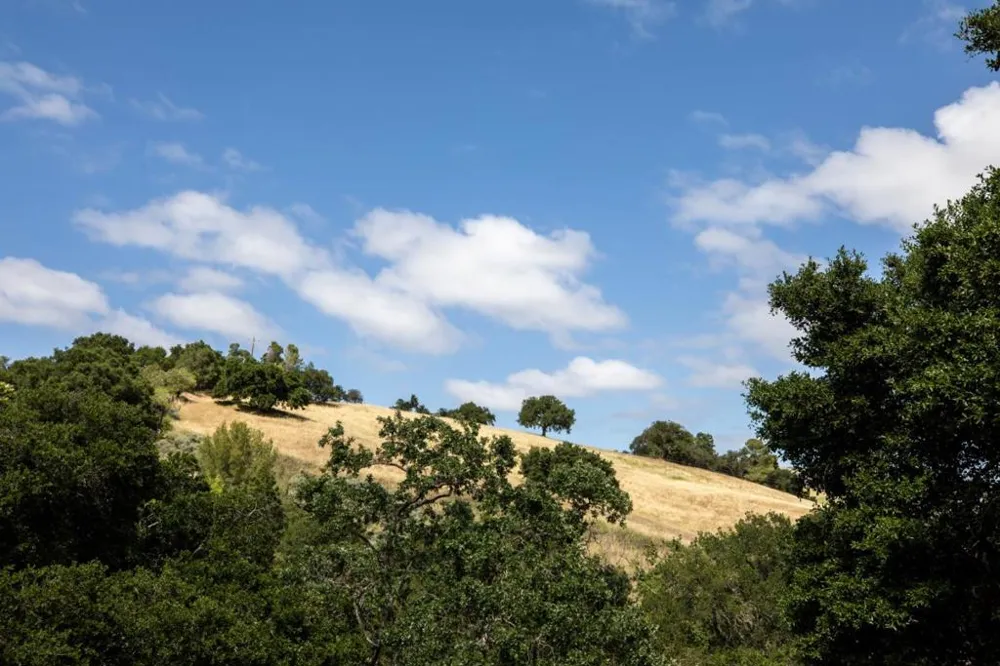 28008 Laura Court Los Altos Hills, CA 94022
