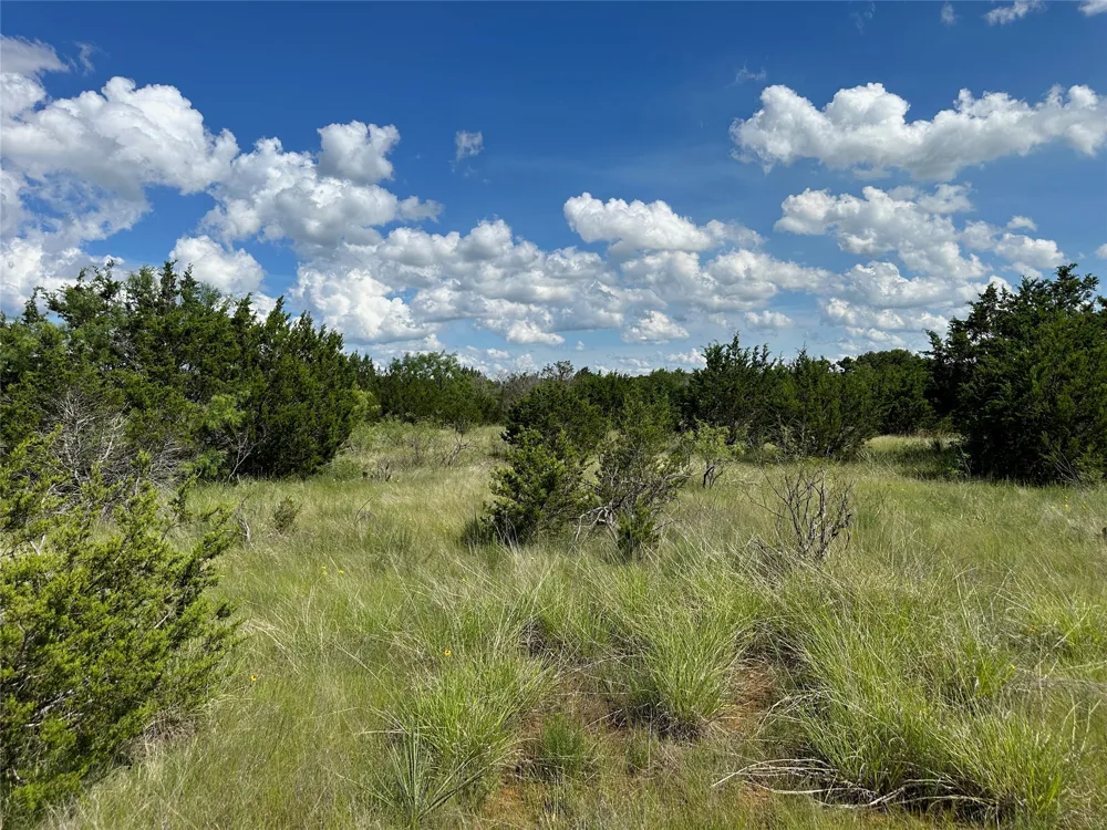 102 Sean Lane Bangs, TX 76823