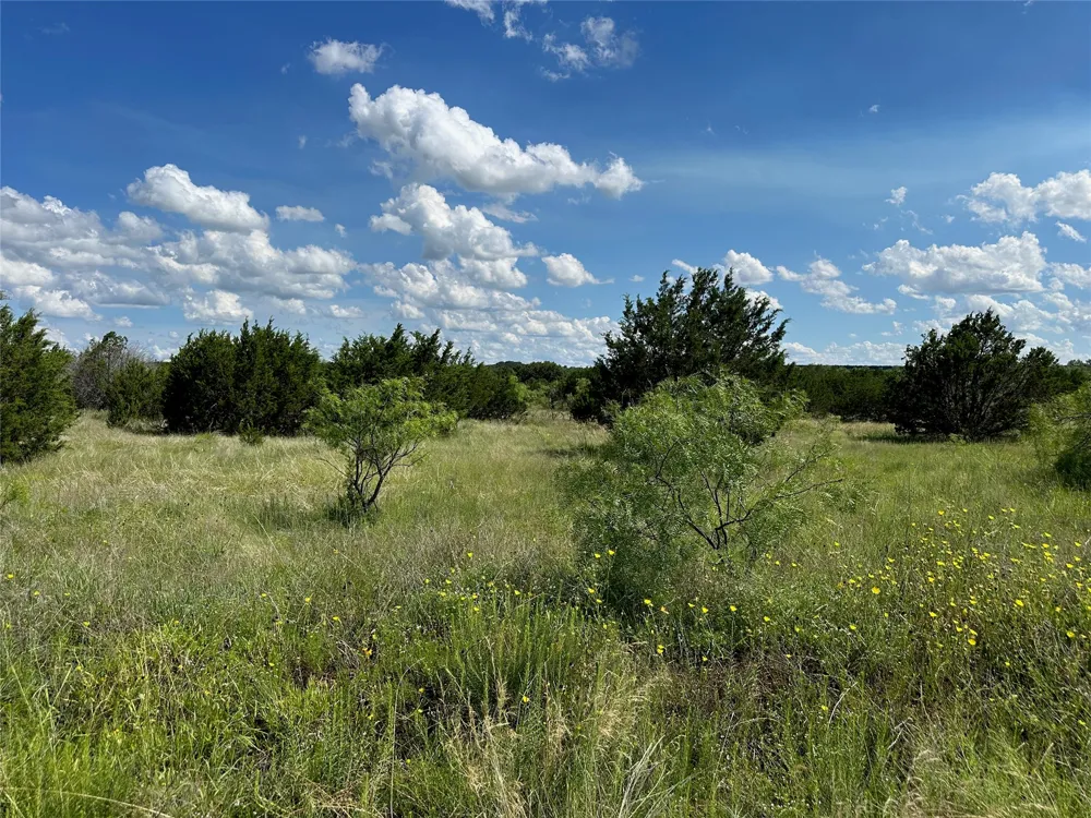 102 Sean Lane Bangs, TX 76823