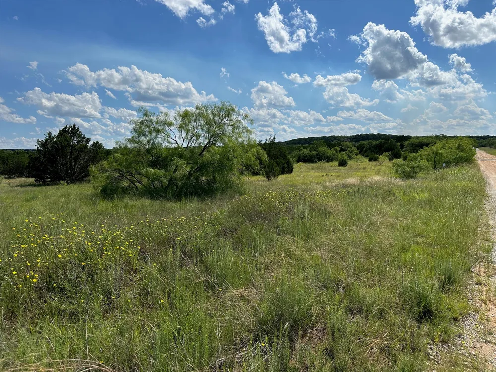 102 Sean Lane Bangs, TX 76823