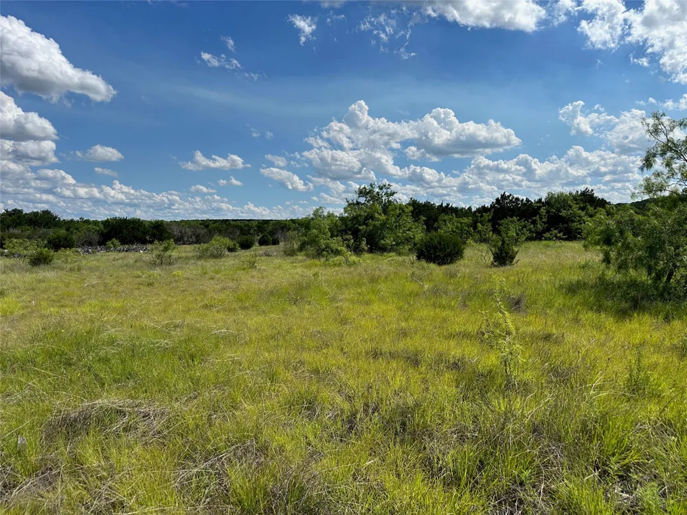 102 Sean Lane Bangs, TX 76823