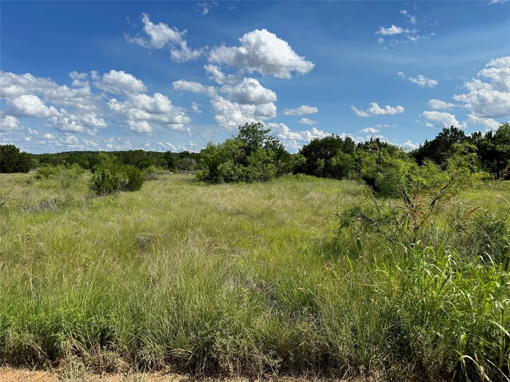 102 Sean Lane Bangs, TX 76823