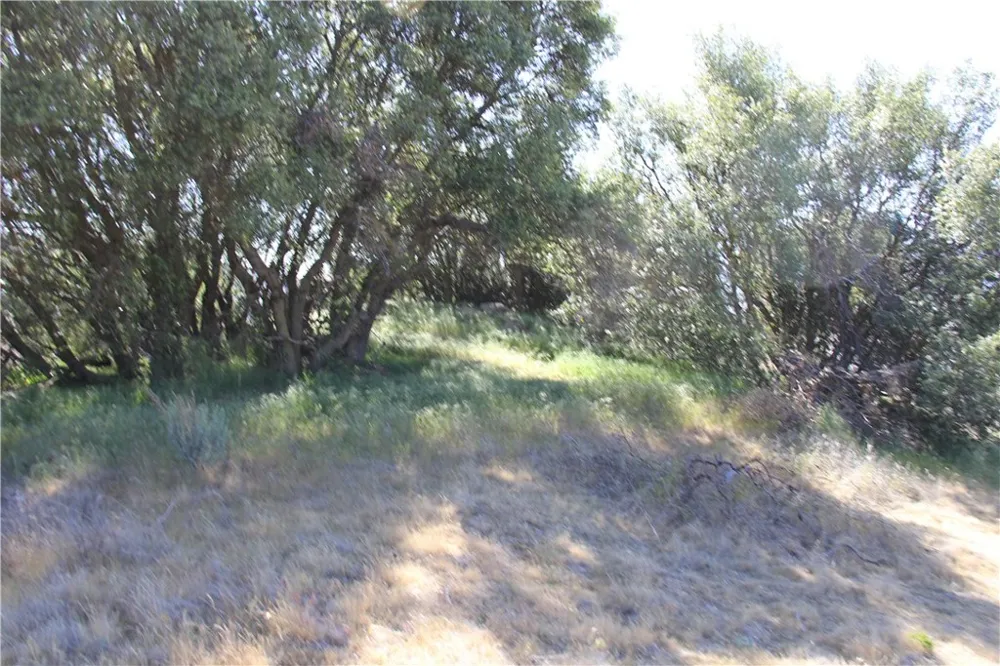 Skyline Drive Tehachapi, CA 93561