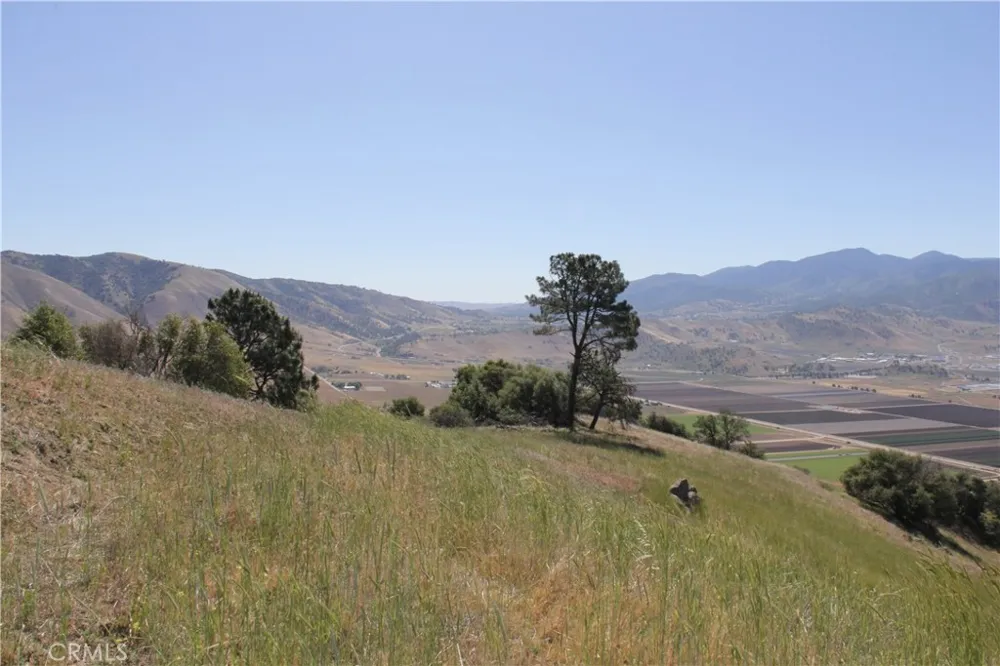 Skyline Drive Tehachapi, CA 93561