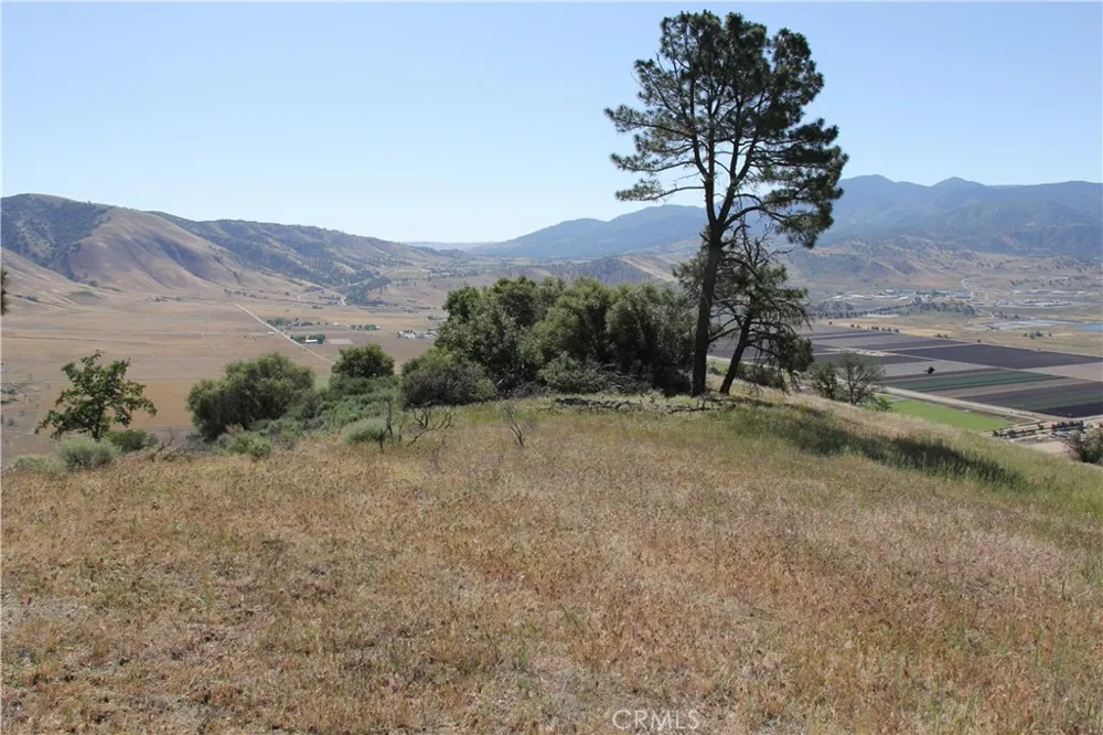 Skyline Drive Tehachapi, CA 93561