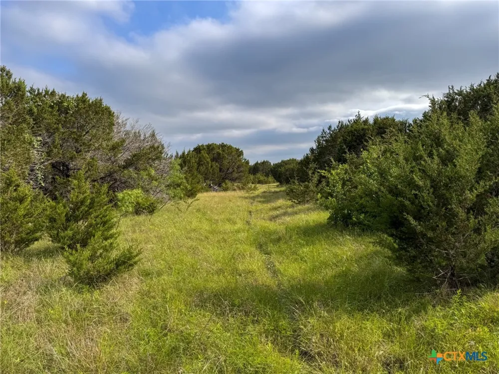 Private Road 16029 Jonesboro, TX 76538