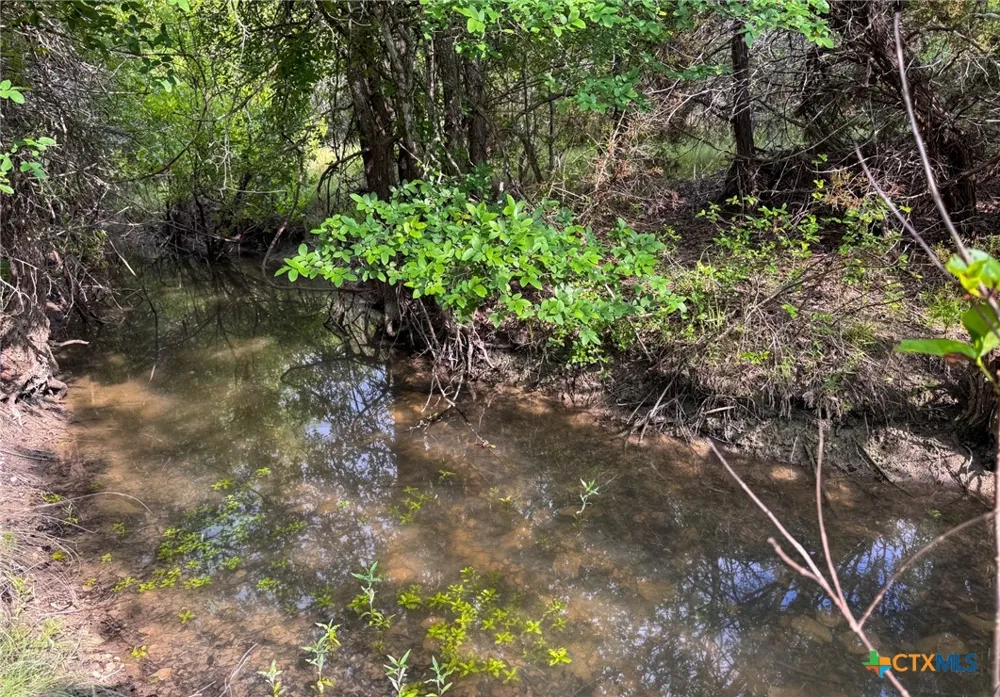 Private Road 16029 Jonesboro, TX 76538