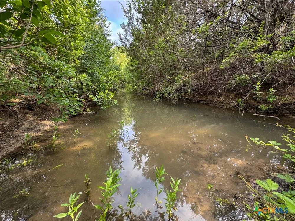 Private Road 16029 Jonesboro, TX 76538