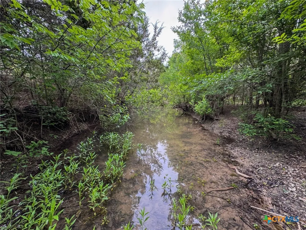 Private Road 16029 Jonesboro, TX 76538