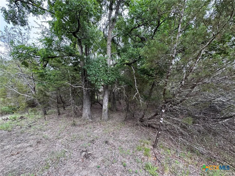 Private Road 16029 Jonesboro, TX 76538