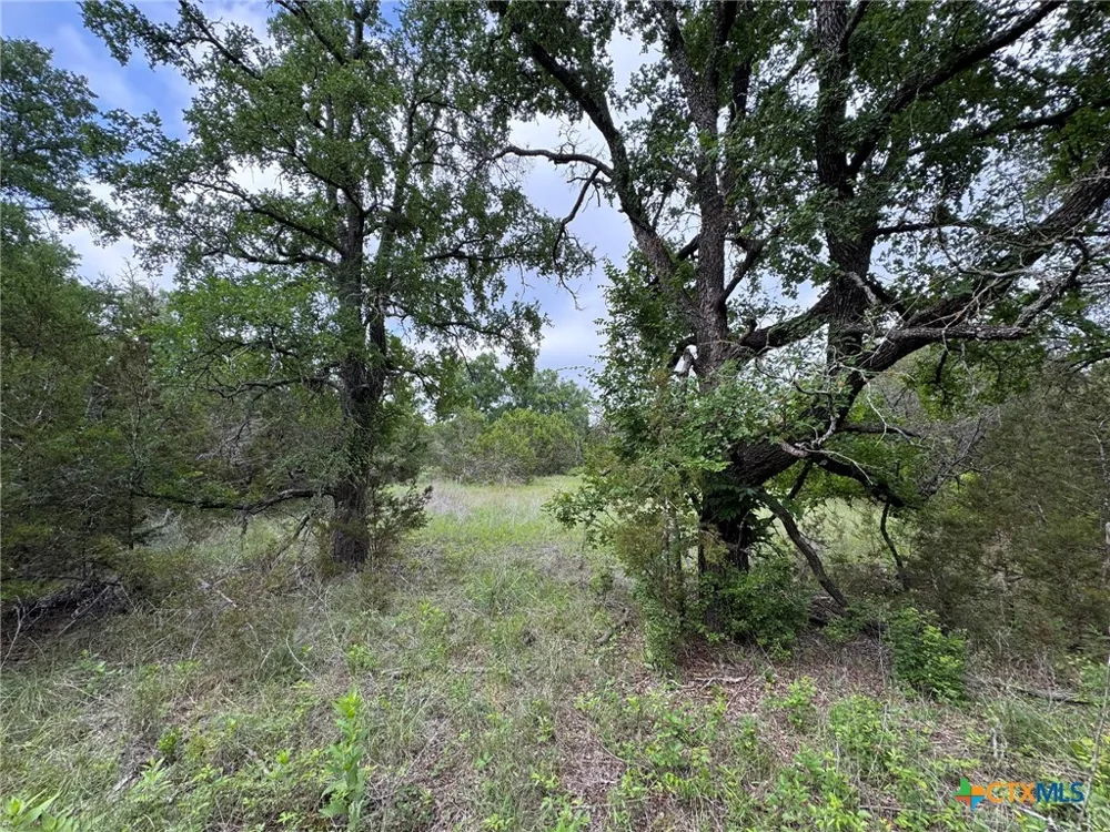 Private Road 16029 Jonesboro, TX 76538