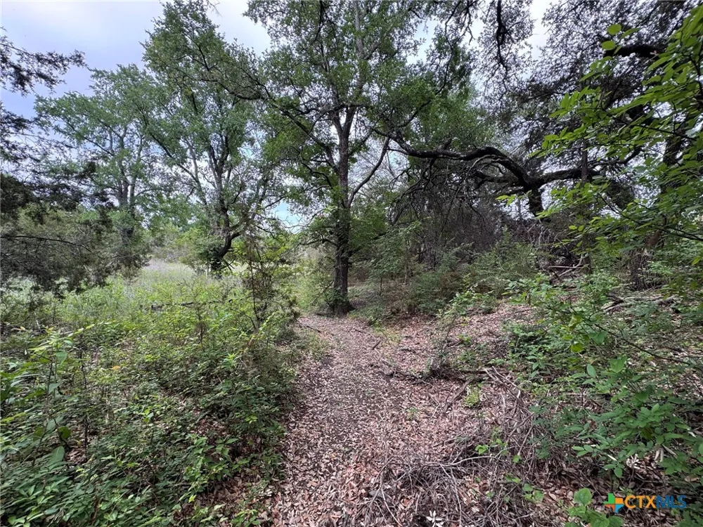 Private Road 16029 Jonesboro, TX 76538
