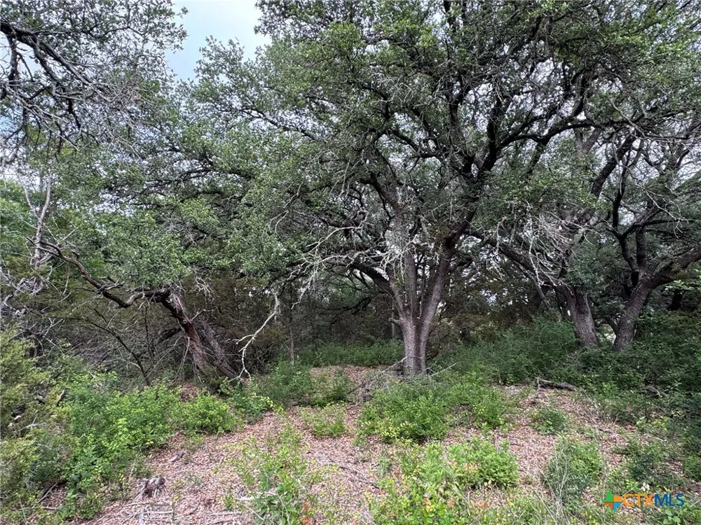 Private Road 16029 Jonesboro, TX 76538