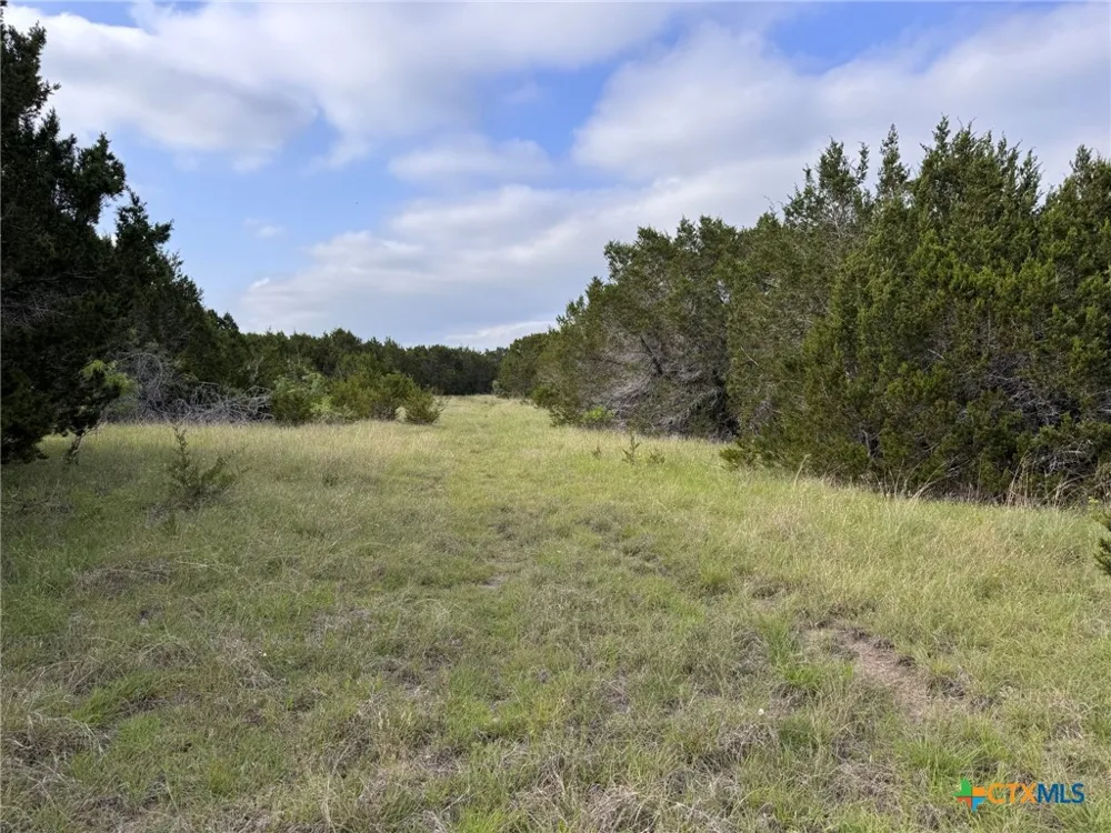Private Road 16029 Jonesboro, TX 76538