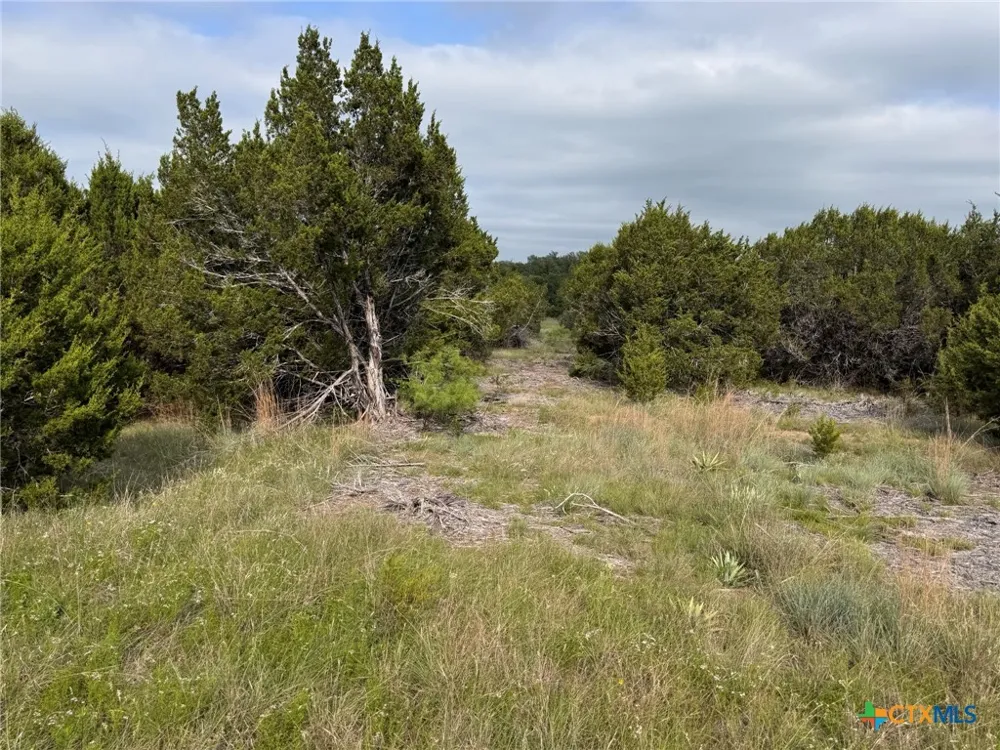 Private Road 16029 Jonesboro, TX 76538