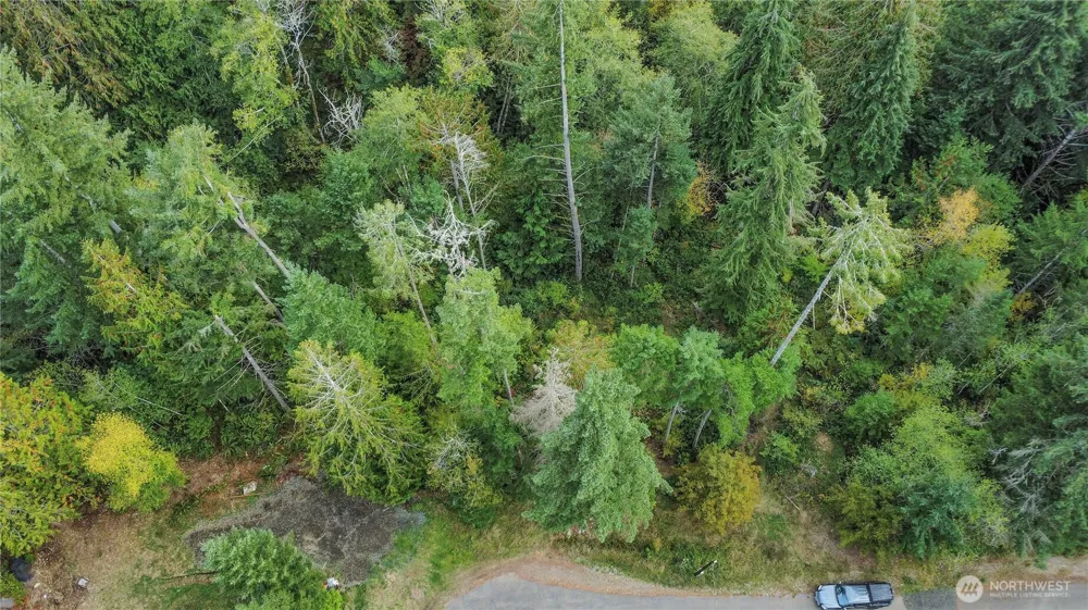 220 E Peebles Court Shelton, WA 98584