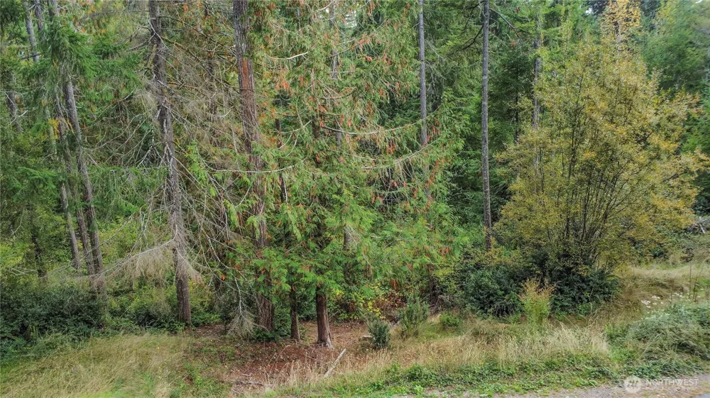 220 E Peebles Court Shelton, WA 98584