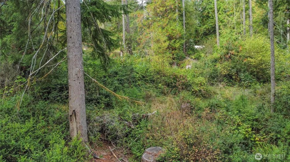 220 E Peebles Court Shelton, WA 98584