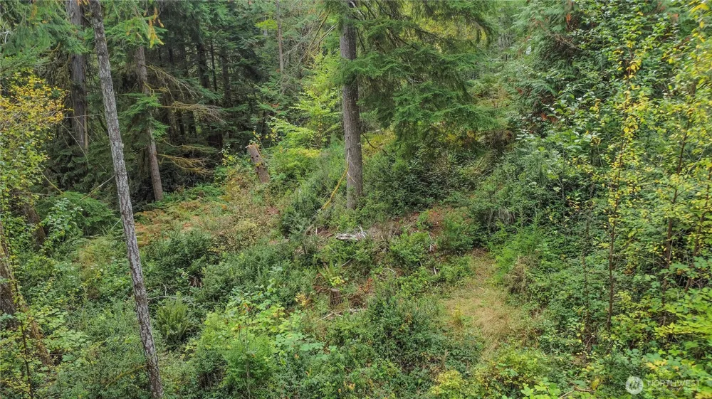 220 E Peebles Court Shelton, WA 98584