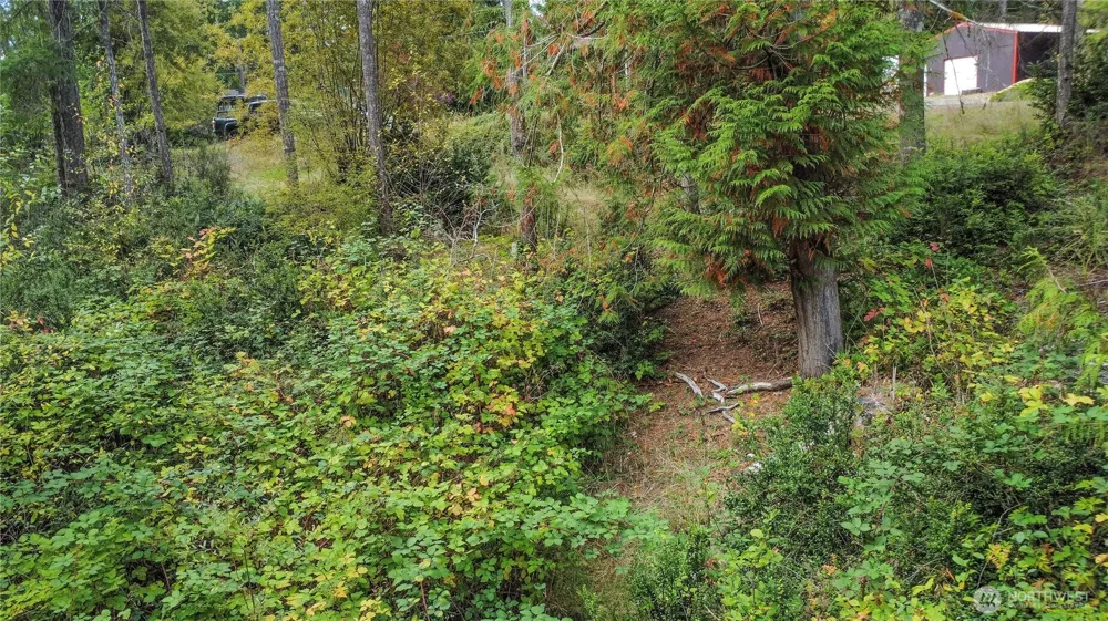 220 E Peebles Court Shelton, WA 98584