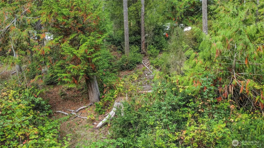 220 E Peebles Court Shelton, WA 98584
