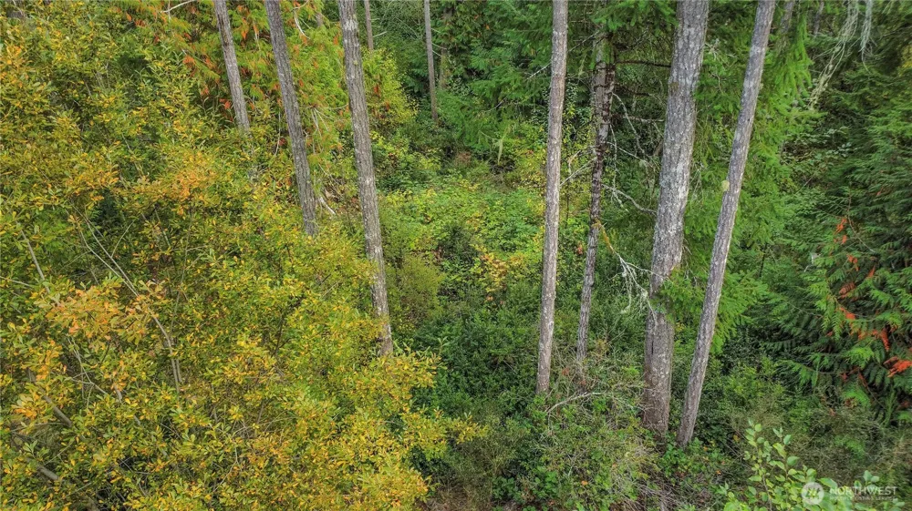 220 E Peebles Court Shelton, WA 98584
