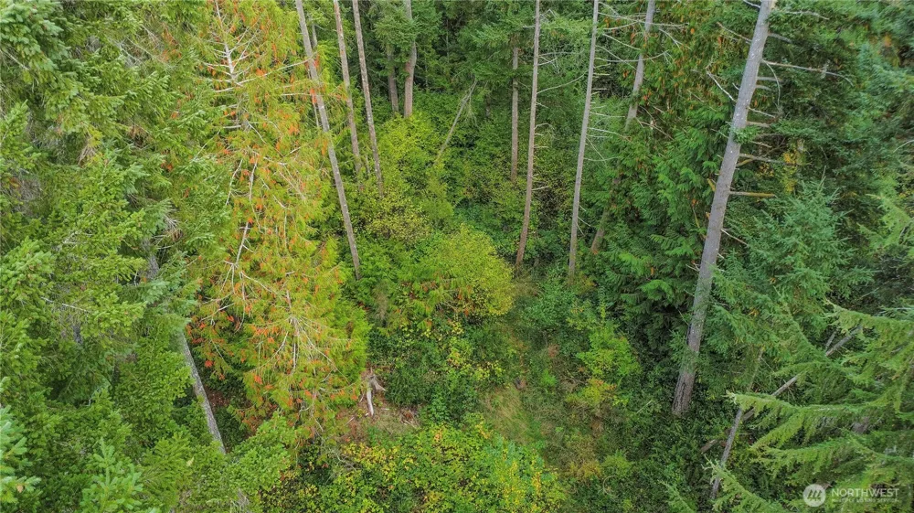 220 E Peebles Court Shelton, WA 98584