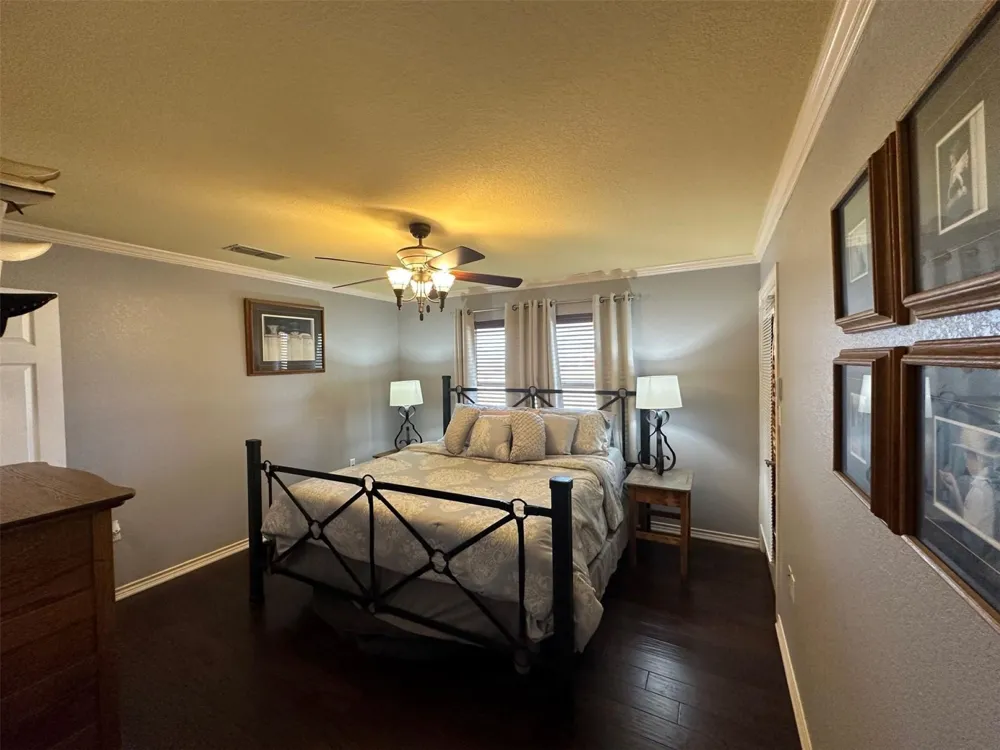 2901 Wind Mill Court Tolar, TX 76476