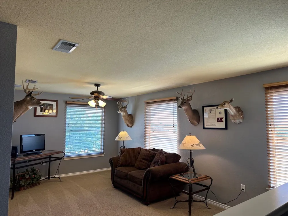 2901 Wind Mill Court Tolar, TX 76476