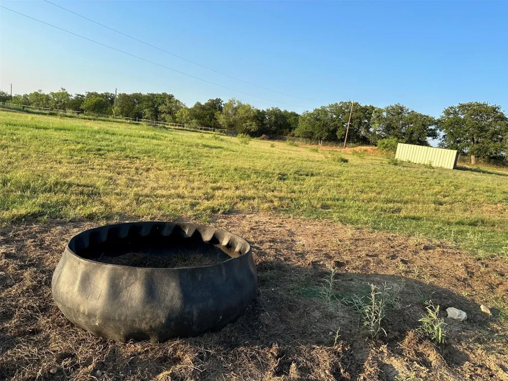 2901 Wind Mill Court Tolar, TX 76476