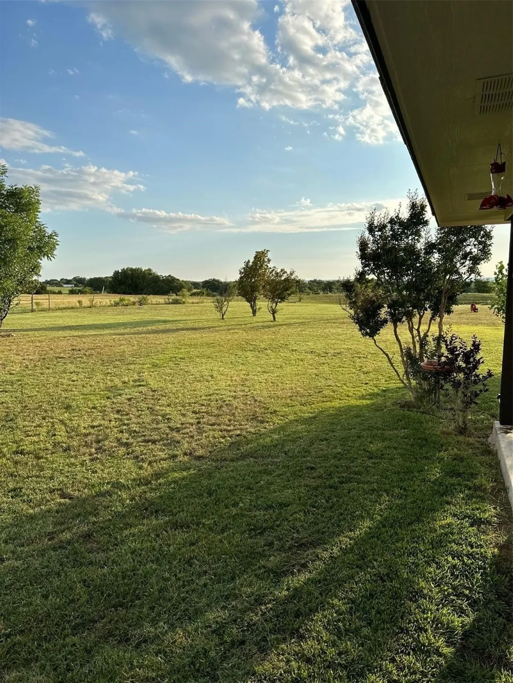 2901 Wind Mill Court Tolar, TX 76476
