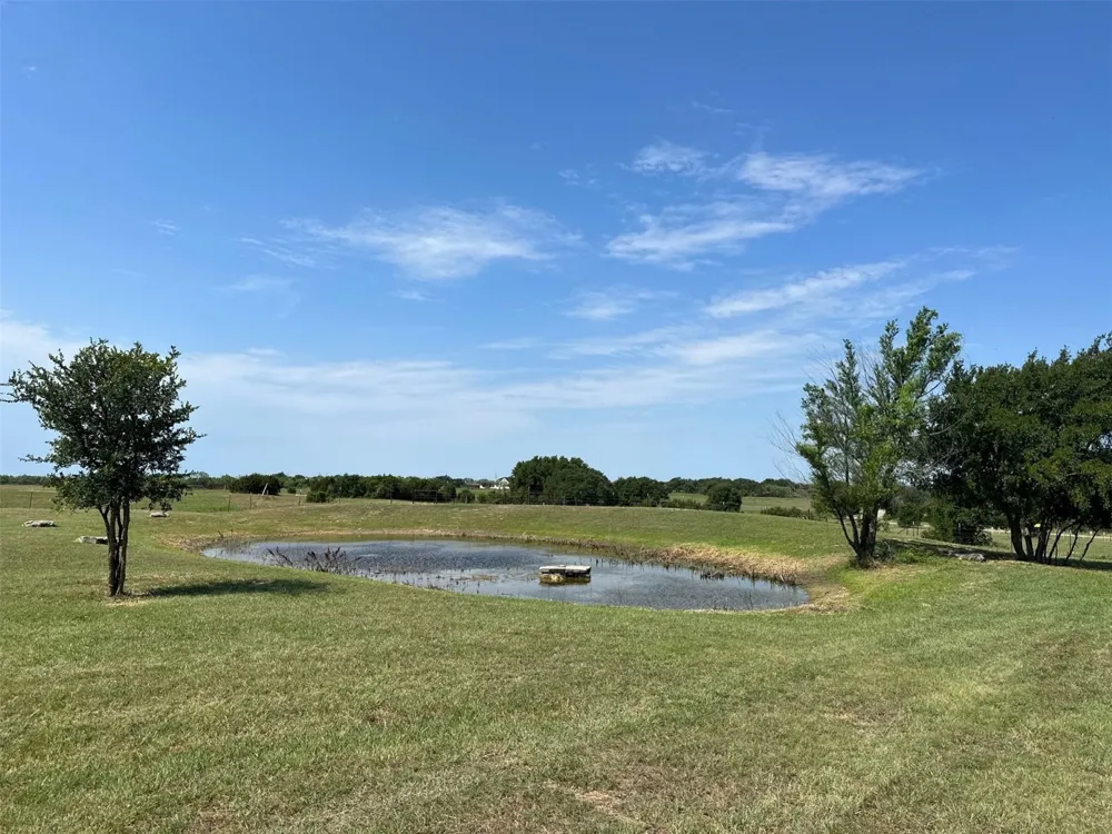 2901 Wind Mill Court Tolar, TX 76476