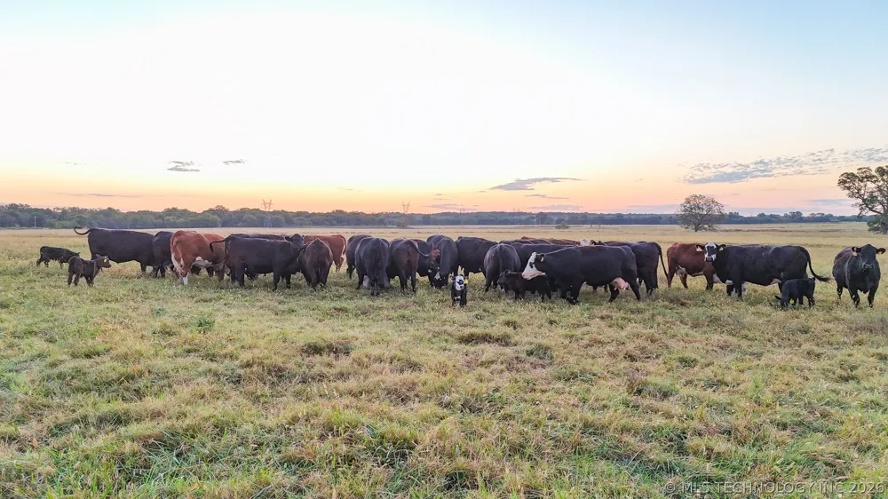 19190 W 6th Street Haskell, OK 74436
