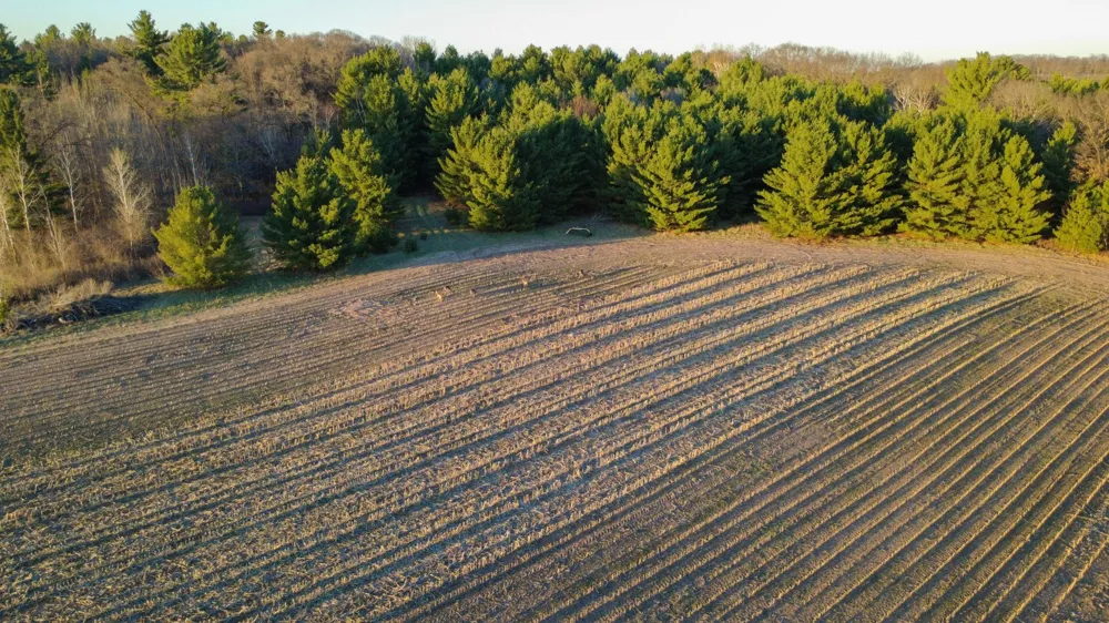 Lot 4 115th Frederic, WI 54837